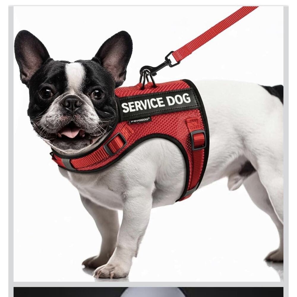 Breathable Air Mesh Service Dog Harness With Leash And 6 Patches Small Dog